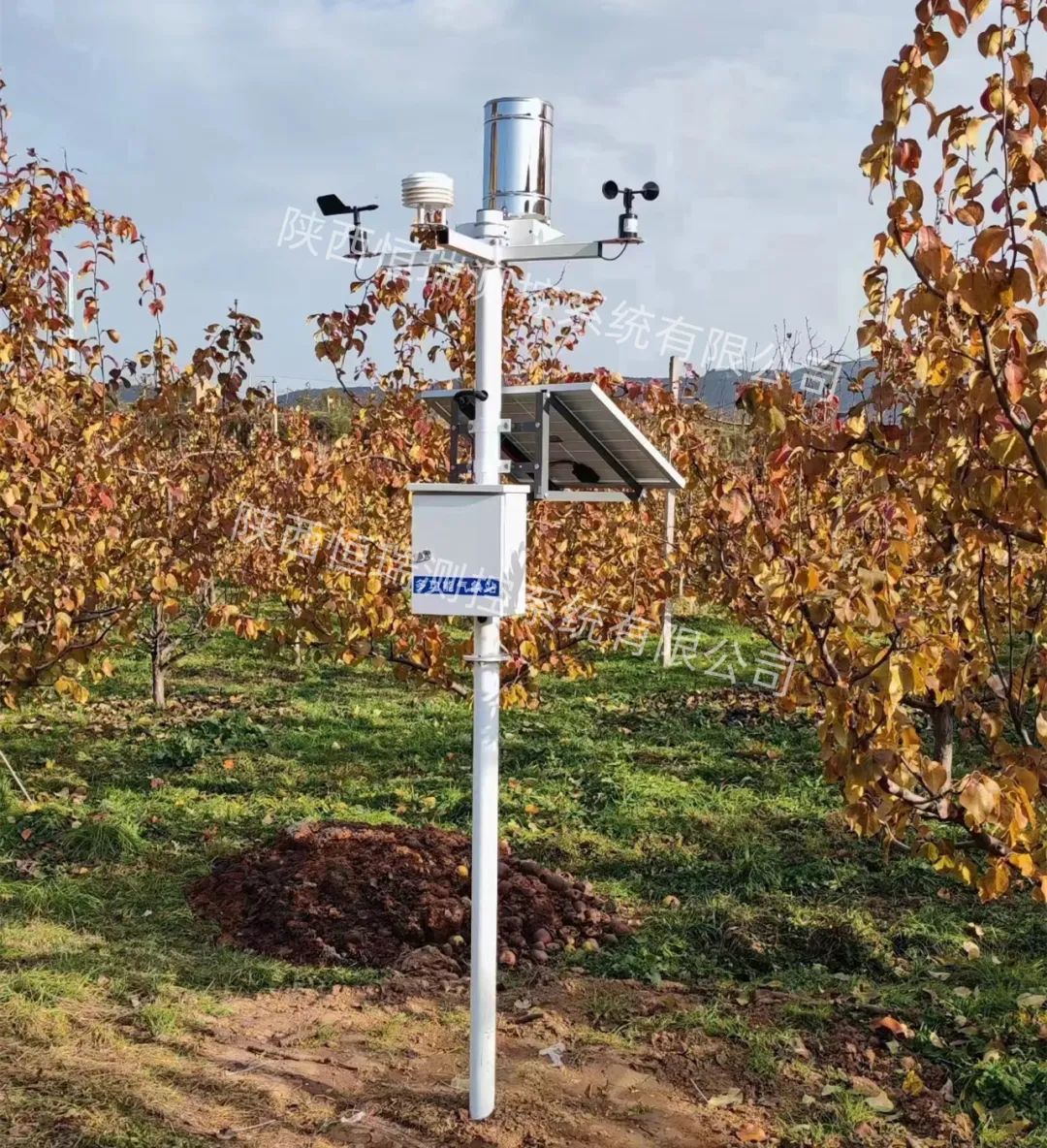 1677739392124204.jpg 640 (3).jpg