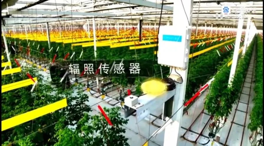 1678241424103984.jpg 4.jpg